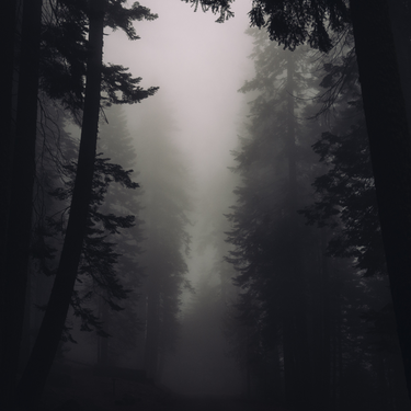 The Poison Path | Witchcraft Shop + Apothecary